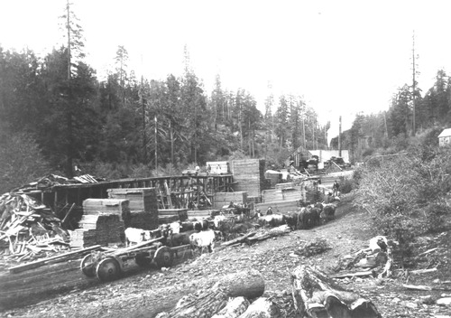 Click to see PIC 3-LU 83 of Lumber (PIC 3-LU)