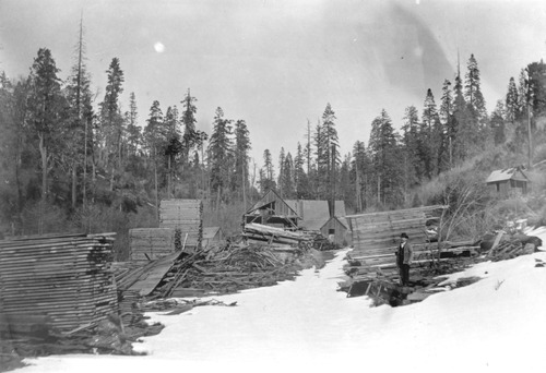 Click to see PIC 3-LU 84 of Lumber (PIC 3-LU)