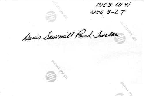 Click to see PIC 3-LU 91B-BACK of Lumber (PIC 3-LU)