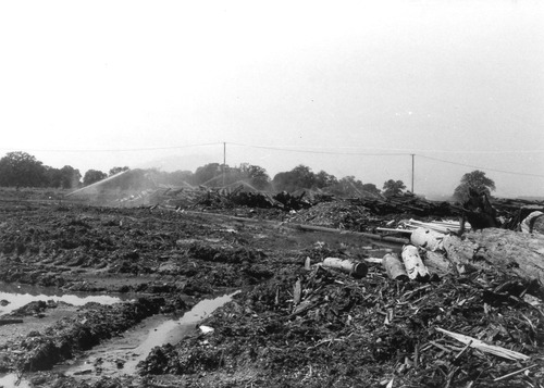 Click to see PIC 3-LU 93 of Lumber (PIC 3-LU)