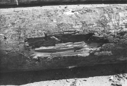Click to see PIC 3-LU 94 of Lumber (PIC 3-LU)
