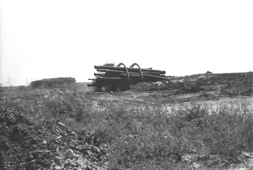Click to see PIC 3-LU 95 of Lumber (PIC 3-LU)