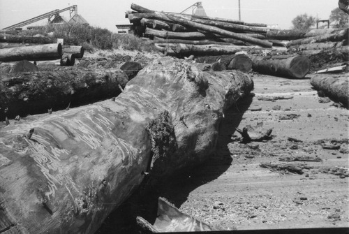 Click to see PIC 3-LU 99 of Lumber (PIC 3-LU)