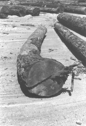 Click to see PIC 3-LU 101 of Lumber (PIC 3-LU)