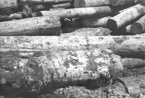 Click to see PIC 3-LU 105 of Lumber (PIC 3-LU)