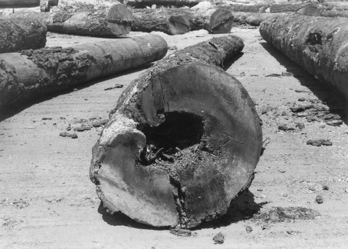 Click to see PIC 3-LU 107 of Lumber (PIC 3-LU)