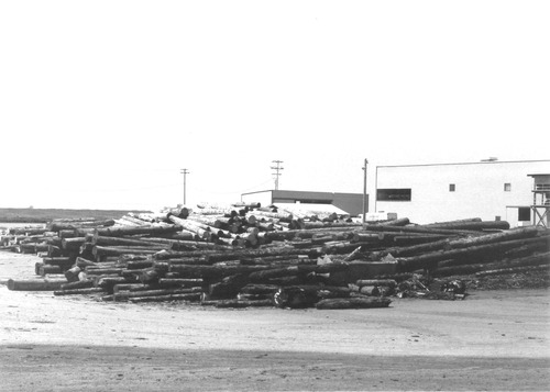 Click to see PIC 3-LU 110 of Lumber (PIC 3-LU)