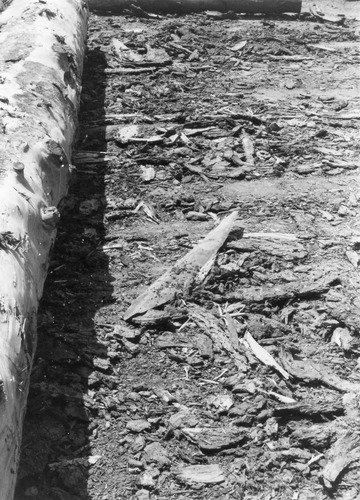 Click to see PIC 3-LU 112 of Lumber (PIC 3-LU)