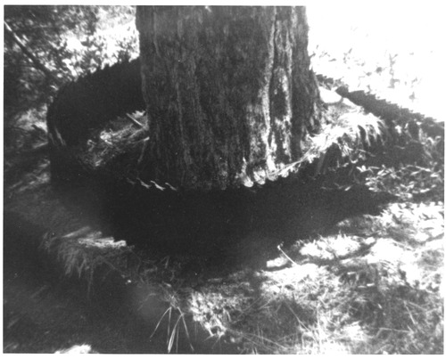 Click to see PIC 3-LU 114A & B of Lumber (PIC 3-LU)