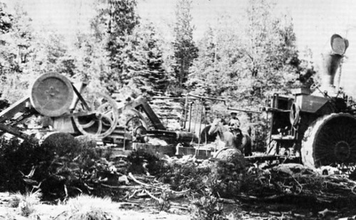 Click to see PIC 3-LU-T 11 of Lumber (PIC 3-LU)