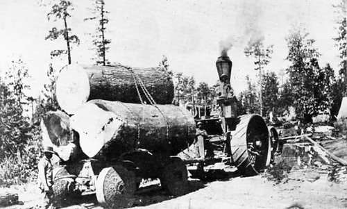 Click to see PIC 3-LU-T 12 of Lumber (PIC 3-LU)