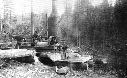 Click to see PIC 3-LU-T 13 of Lumber (PIC 3-LU)