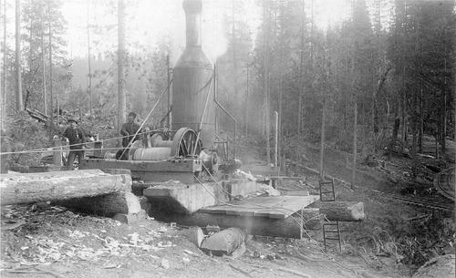 Click to see PIC 3-LU-T 13B of Lumber (PIC 3-LU)