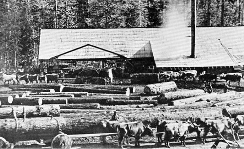 Click to see PIC 3-LU-T 14 of Lumber (PIC 3-LU)