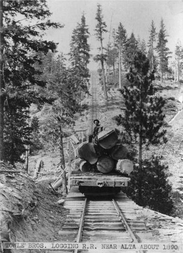 Click to see PIC 3-LU-T 23 of Lumber (PIC 3-LU)