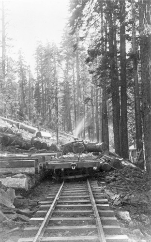 Click to see PIC 3-LU-T 40 of Lumber (PIC 3-LU)