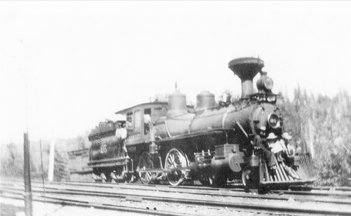 Click to see PIC 3-LU-T 41 of Lumber (PIC 3-LU)