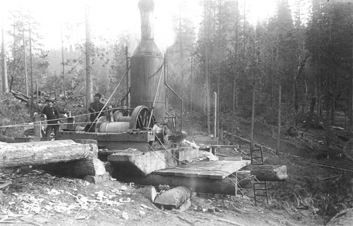 Click to see PIC 3-LU-T 44 of Lumber (PIC 3-LU)