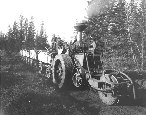 Click to see PIC 3-LU-T 46 of Lumber (PIC 3-LU)