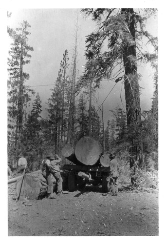 Click to see PIC 3-LU-T 47 of Lumber (PIC 3-LU)