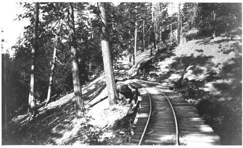 Click to see PIC 3-LU-T 48 of Lumber (PIC 3-LU)