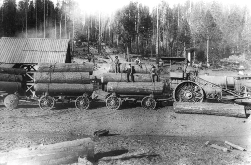 Click to see PIC 3-LU-T 49 of Lumber (PIC 3-LU)