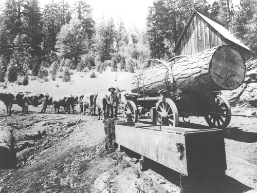 Click to see PIC 3-LU-T 52 of Lumber (PIC 3-LU)