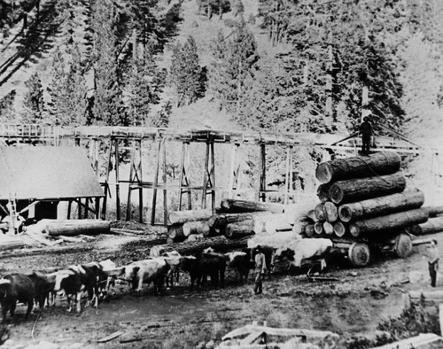Click to see PIC 3-LU-T 68 of Lumber (PIC 3-LU)
