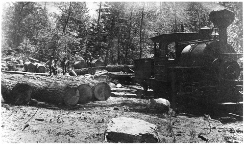Click to see PIC 3-LU-T 83 of Lumber (PIC 3-LU)