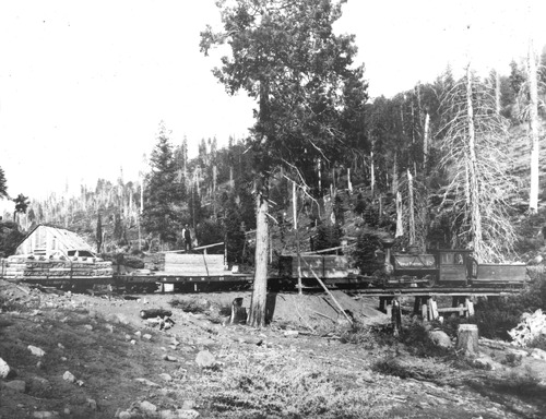 Click to see PIC 3-LU-T 86 of Lumber (PIC 3-LU)