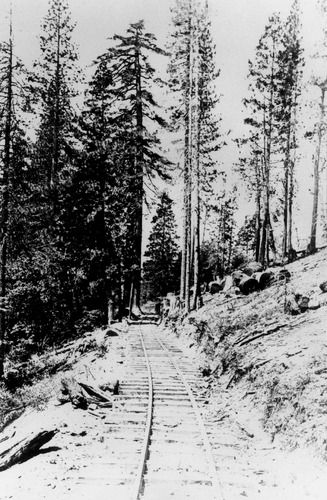 Click to see PIC 3-LU-T 92 of Lumber (PIC 3-LU)