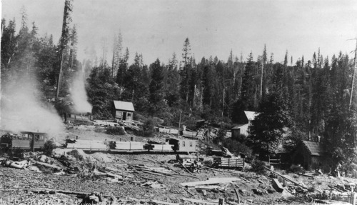 Click to see PIC 3-LU-T 94 of Lumber (PIC 3-LU)