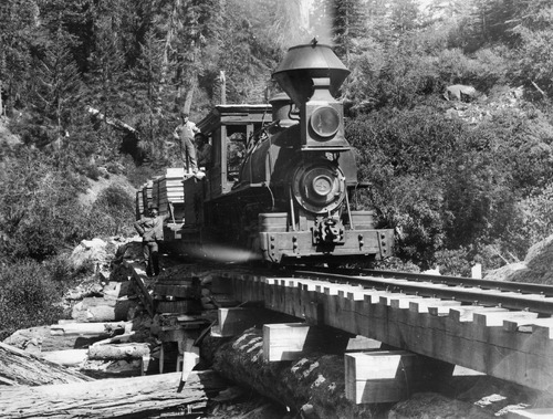 Click to see PIC 3-LU-T 97 of Lumber (PIC 3-LU)