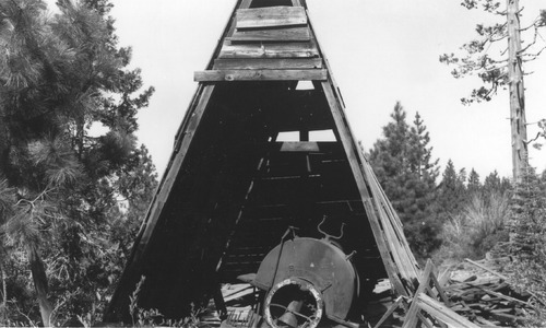 Click to see PIC 3-LU-T 100 of Lumber (PIC 3-LU)