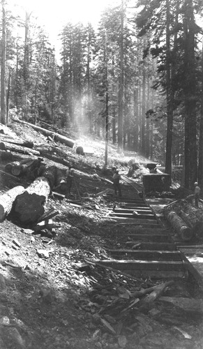 Click to see PIC 3-LU-T 104 of Lumber (PIC 3-LU)
