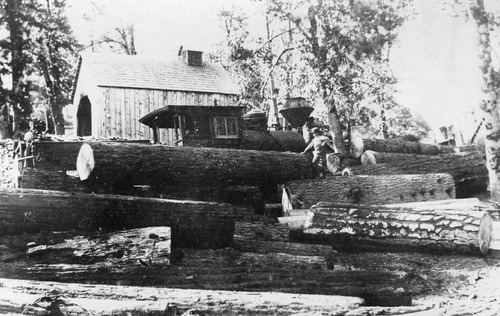 Click to see PIC 3-LU-T 120 of Lumber (PIC 3-LU)