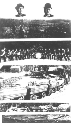 Click to see PIC 3-LU-T 130 of Lumber (PIC 3-LU)
