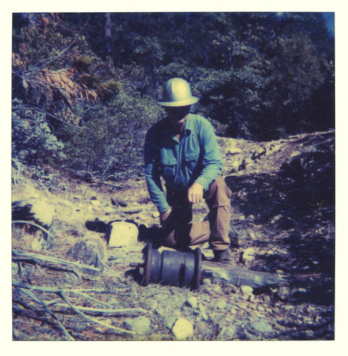 Click to see PIC 3-LU-T 131 of Lumber (PIC 3-LU)