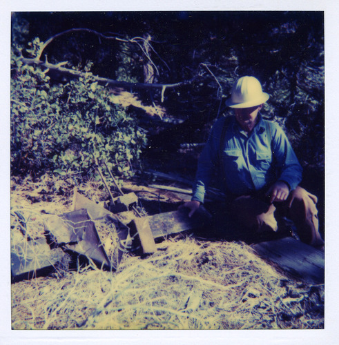 Click to see PIC 3-LU-T 132 of Lumber (PIC 3-LU)
