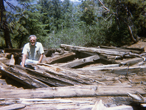 Click to see PIC 3-LU-T 134 of Lumber (PIC 3-LU)