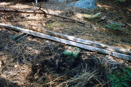 Click to see PIC 3-LU-T 135 of Lumber (PIC 3-LU)