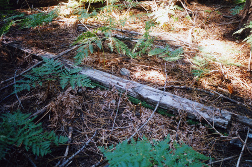 Click to see PIC 3-LU-T 136 of Lumber (PIC 3-LU)