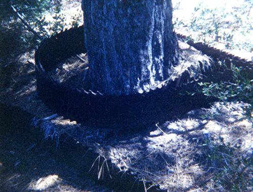 Click to see PIC 3-LU-T 141 of Lumber (PIC 3-LU)