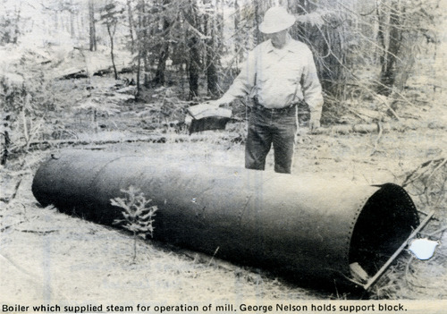 Click to see PIC 3-LU-T 145 of Lumber (PIC 3-LU)