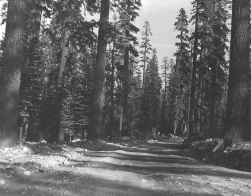 Click to see PIC 3-SIERRA 8 of Sierra County (PIC 3-SIERRA)