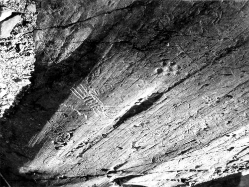 Click to see PIC 3-SIERRA 9D of Sierra County (PIC 3-SIERRA)