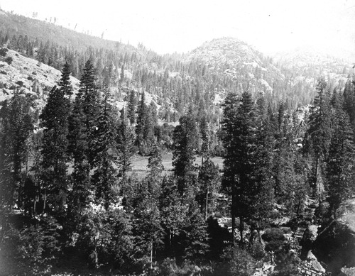 Click to see PIC 4-COU 1-C of Nevada County (PIC 4-COU)