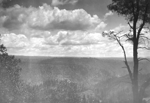 Click to see PIC 4-COU 2 of Nevada County (PIC 4-COU)