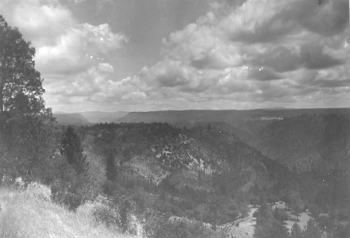 Click to see PIC 4-COU 4 of Nevada County (PIC 4-COU)