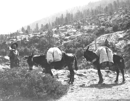 Click to see PIC 4-COU 5-B of Nevada County (PIC 4-COU)